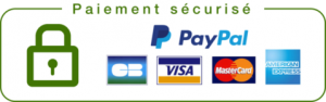 Logo paypal